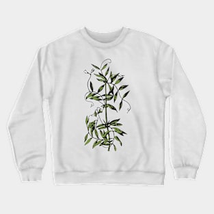 Lentil Plant Crewneck Sweatshirt